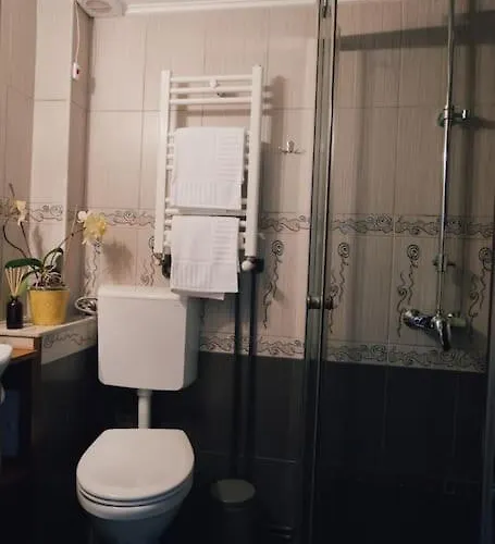 Vista In The Heart Of The Old Center Apartment Brasov